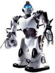 robot